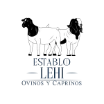 logo establo lehi 2025